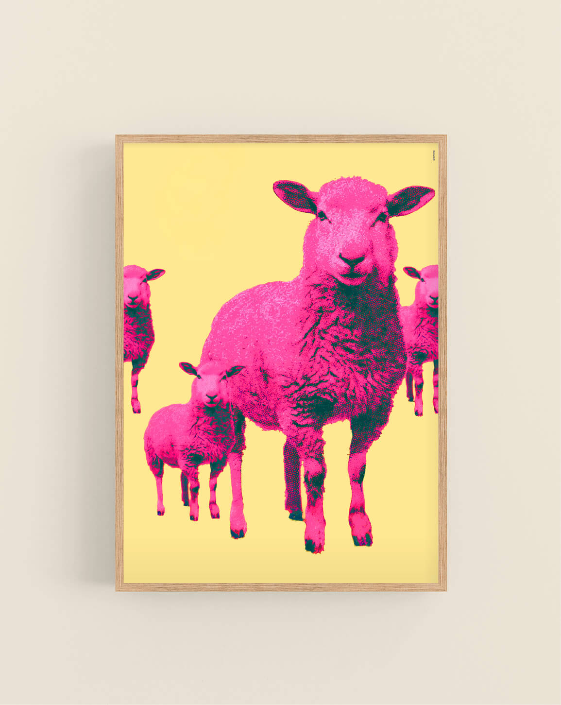 Pink Sheep