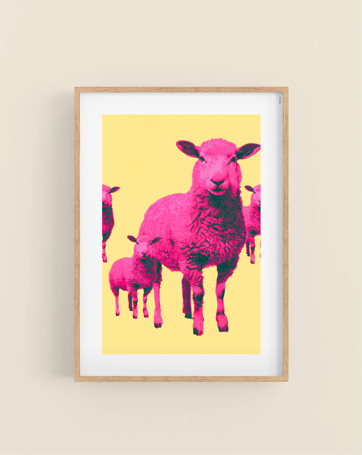 Pink Sheep
