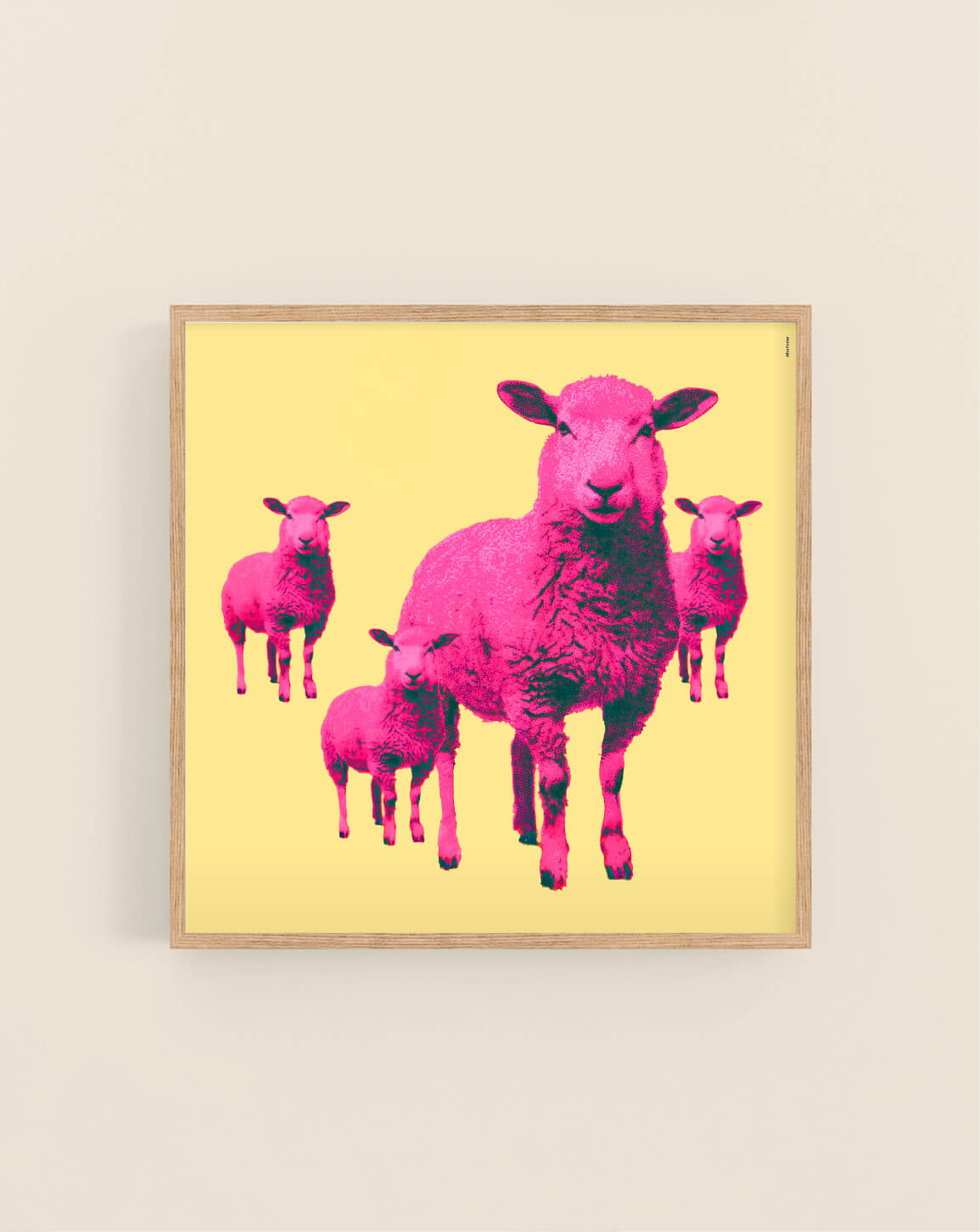 Pink Sheep