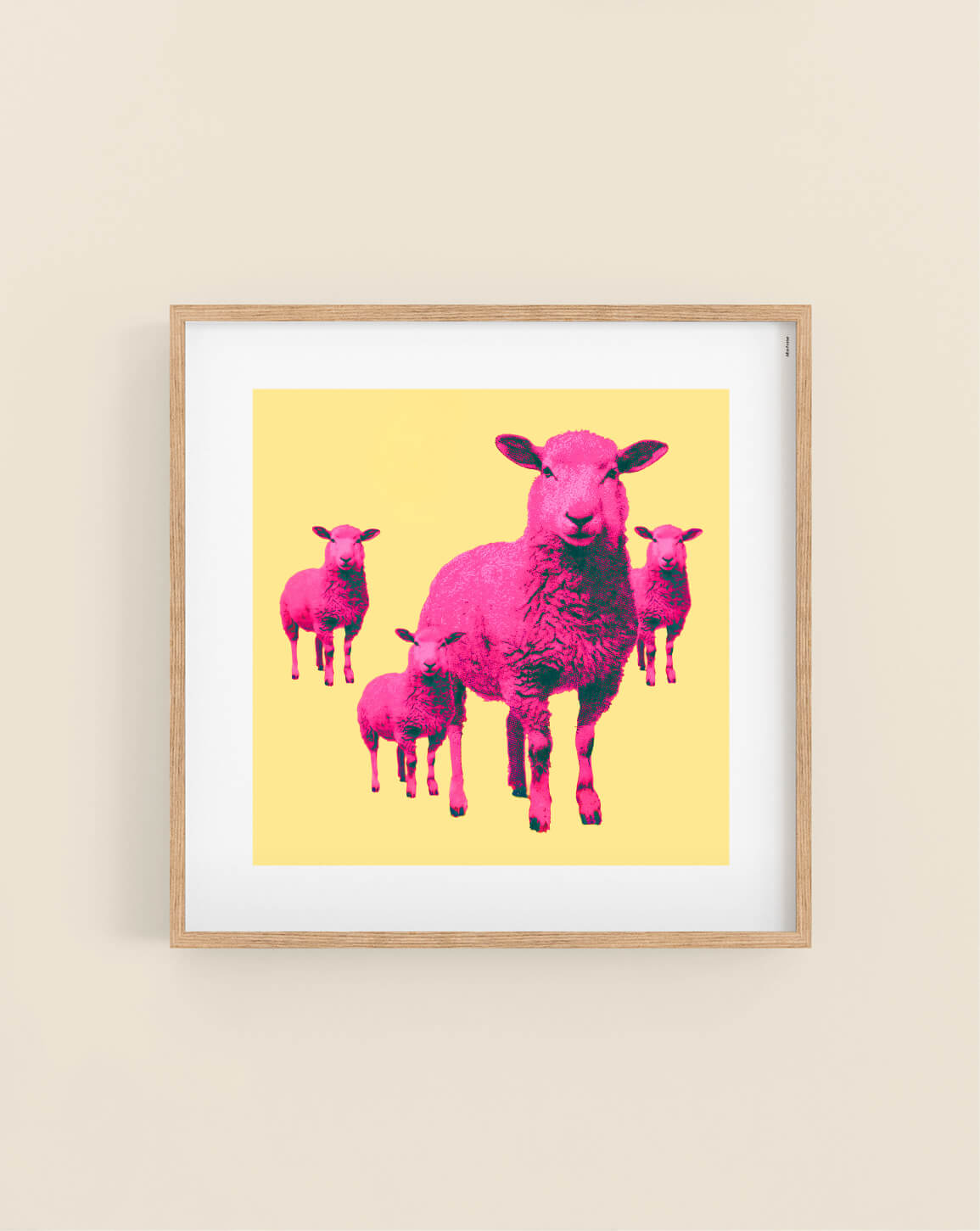 Pink Sheep