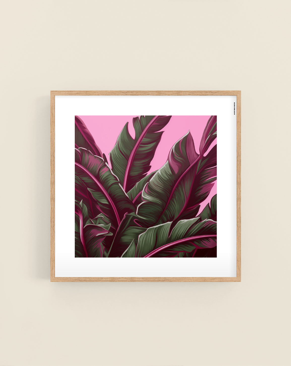 Pink Tropic