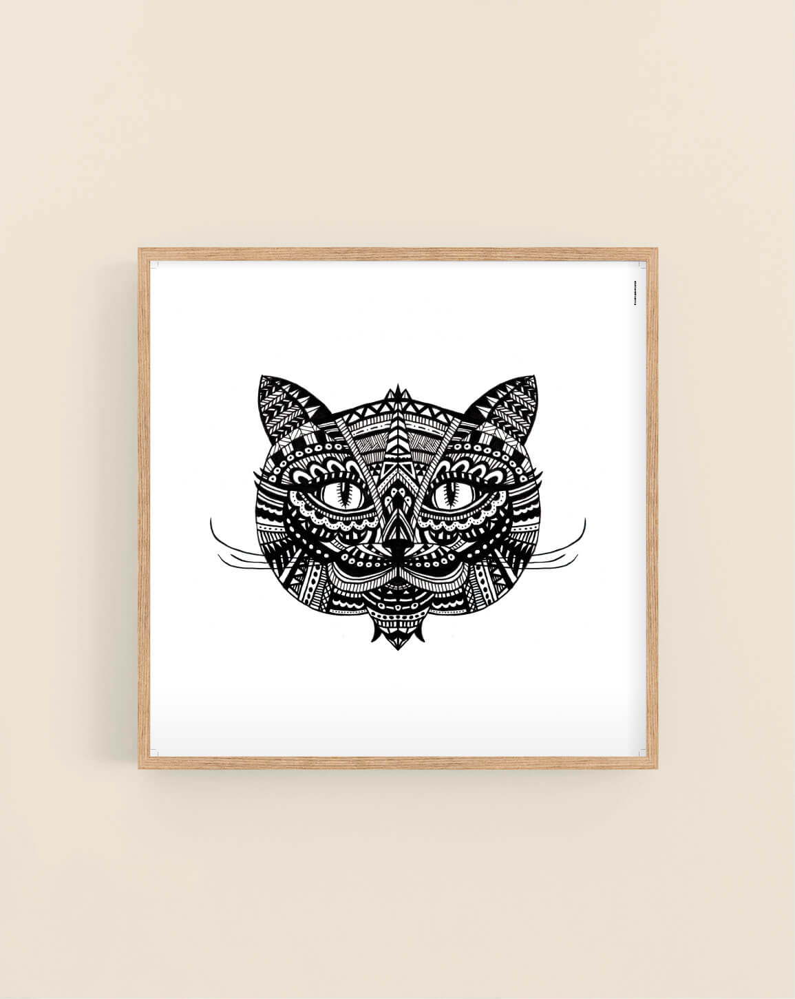 Wilma the Cat